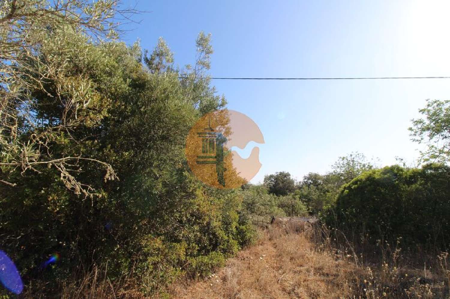  à venda terreno Estoi Faro 6