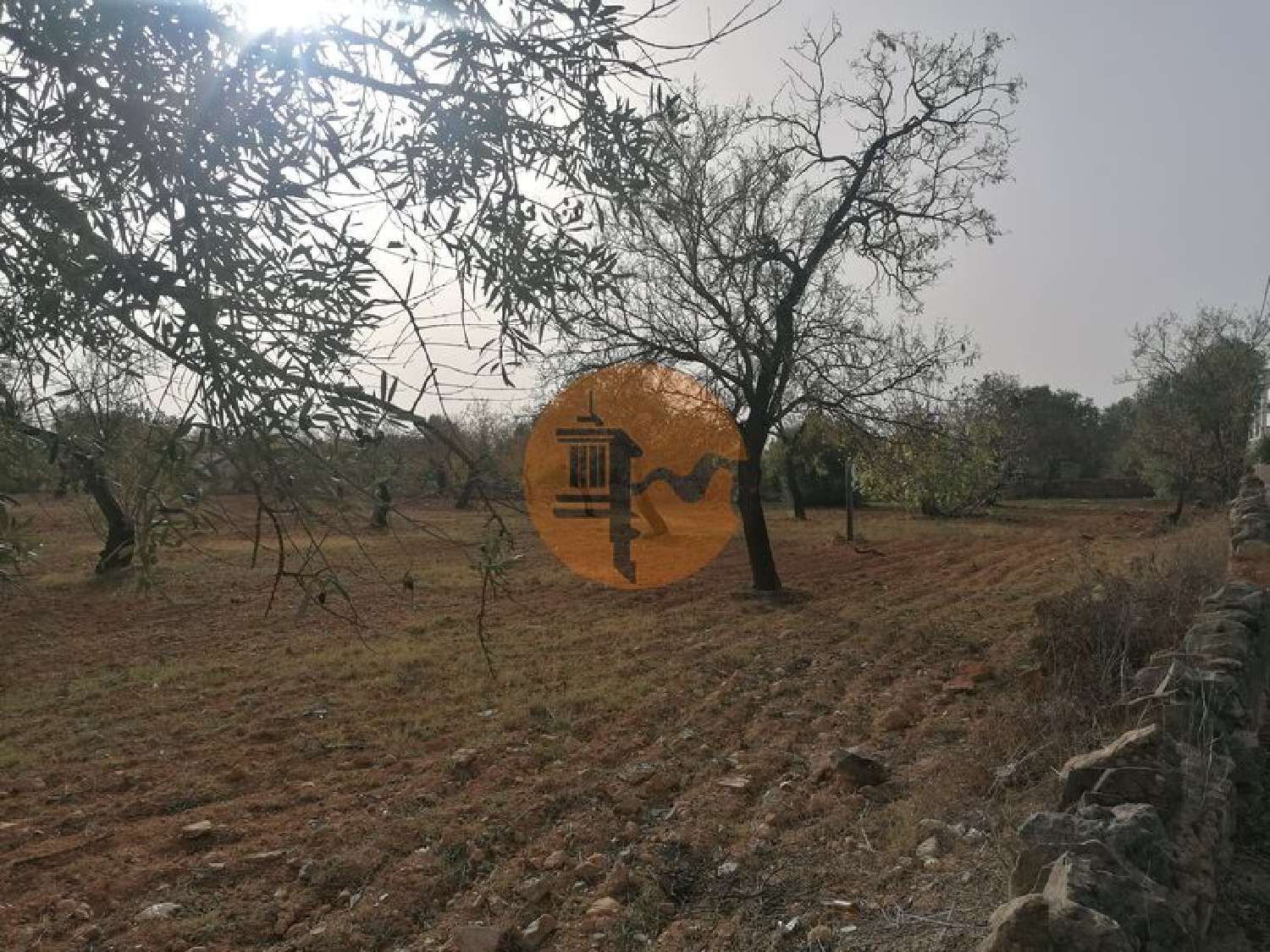  en venta terreno Estoi Faro 1