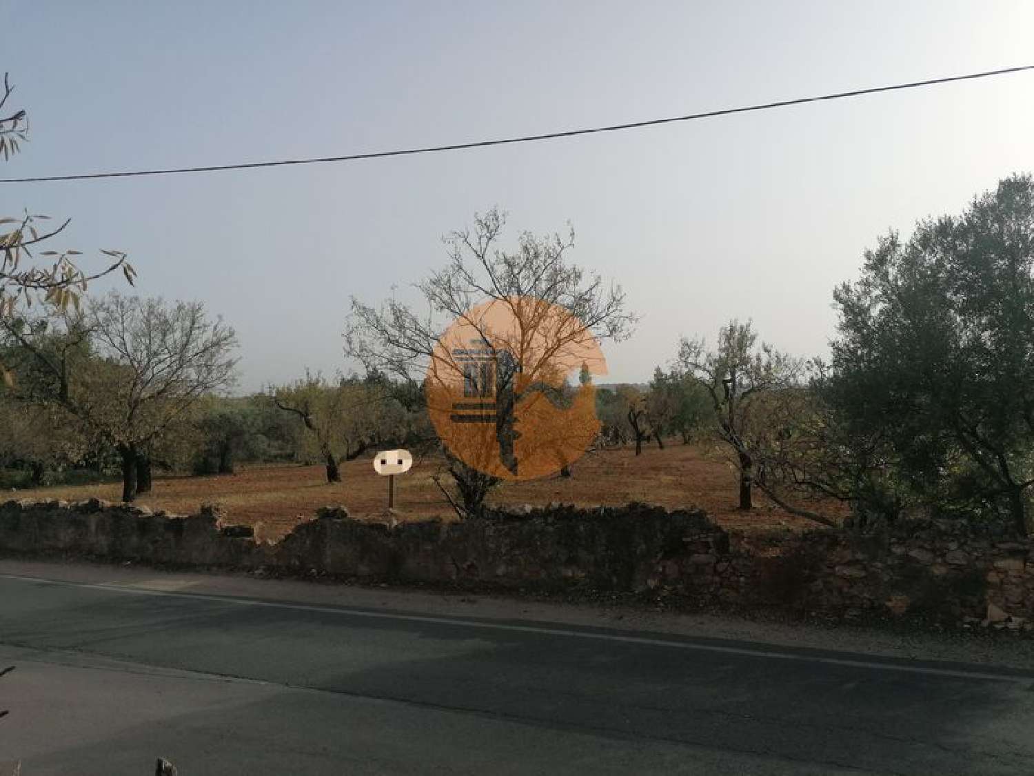  en venta terreno Estoi Faro 4