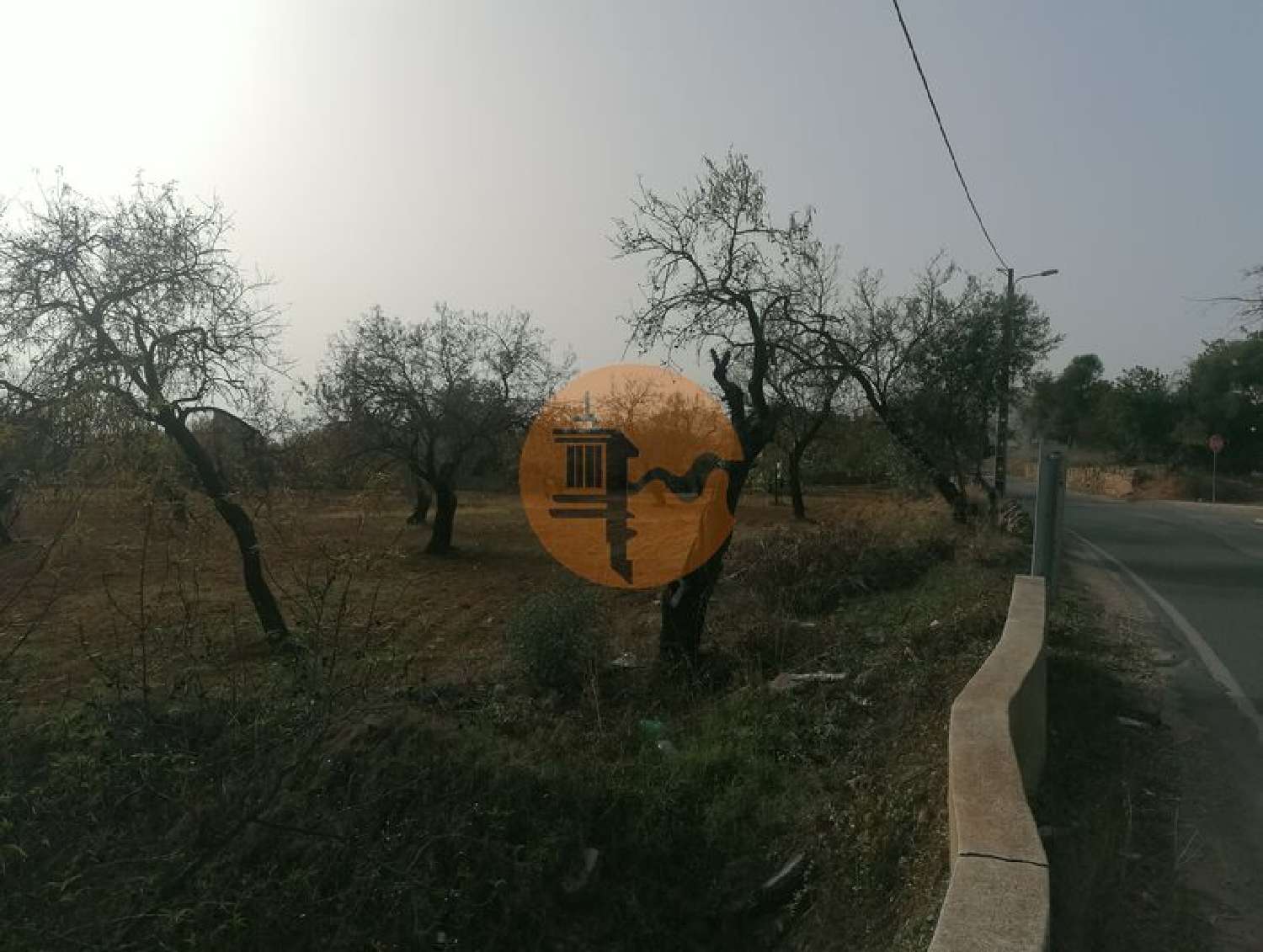  en venta terreno Estoi Faro 5