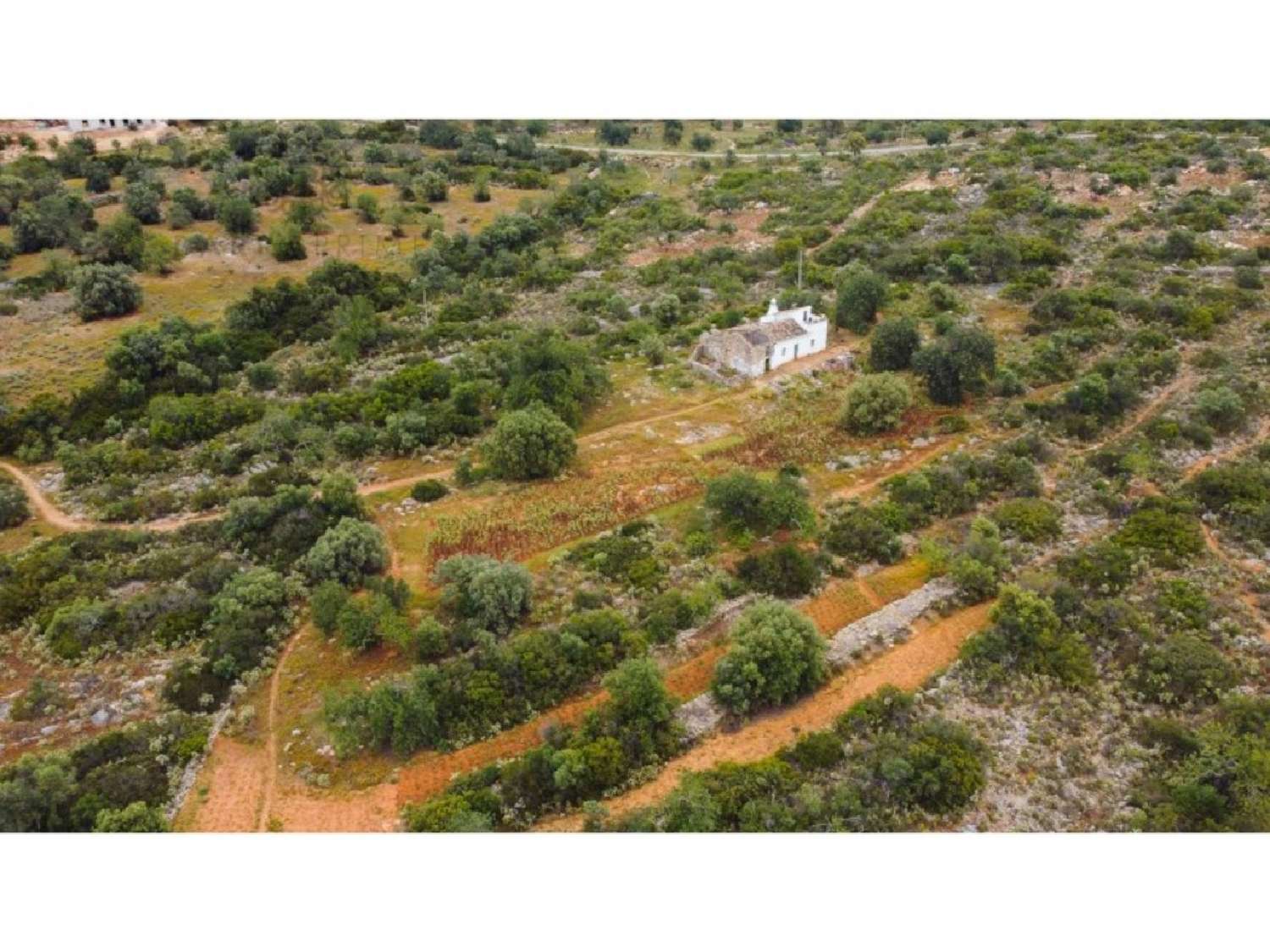 à venda terreno Estoi Faro 4