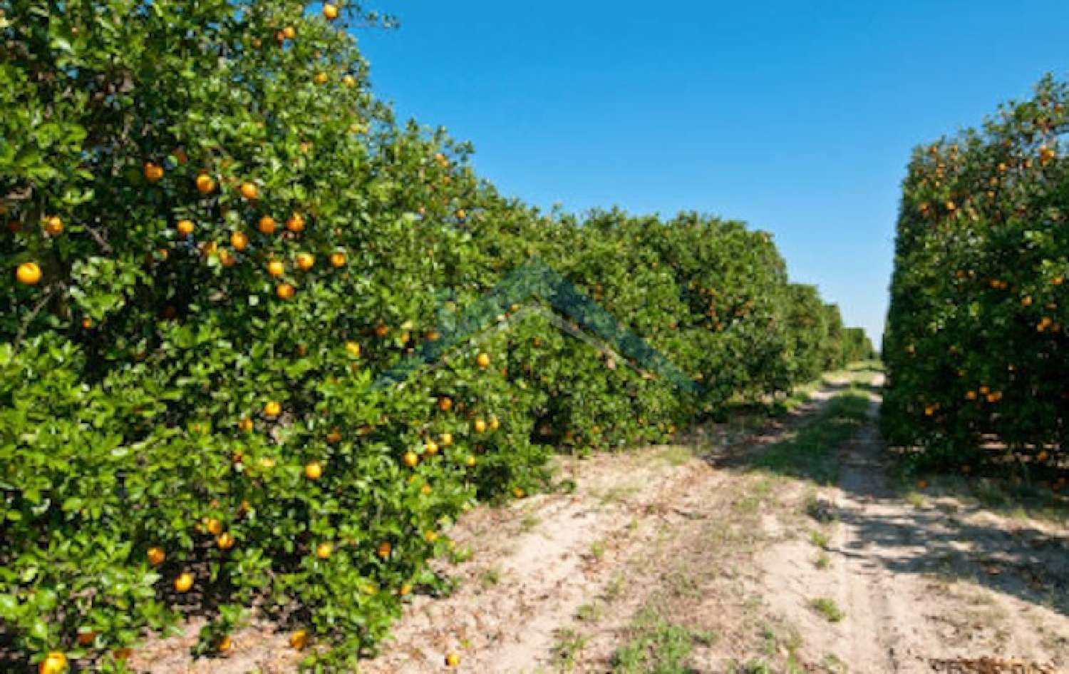  à venda terreno Estoi Faro 1