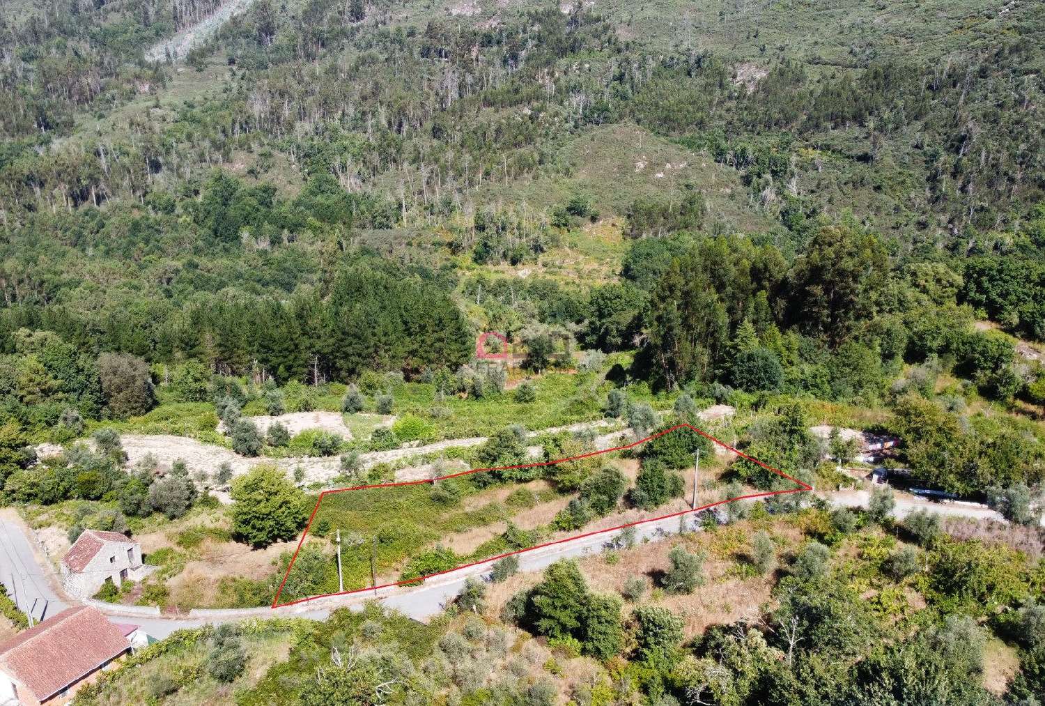 for sale terrain Figueiredo Armamar 3