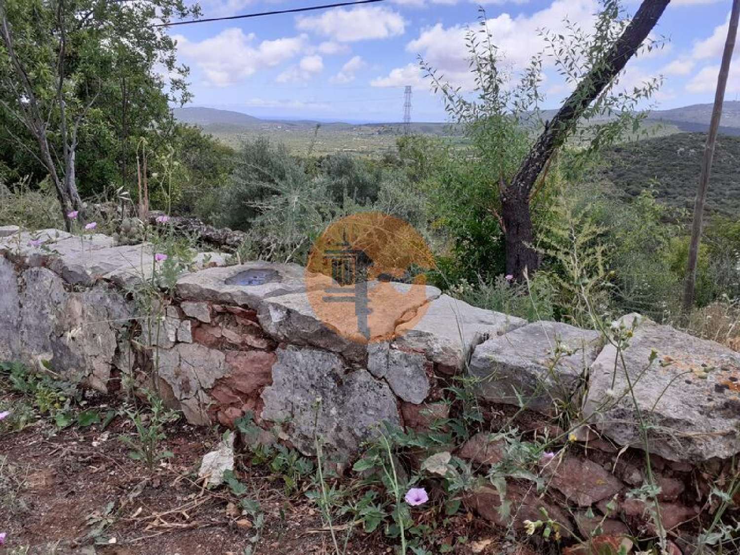  à venda terreno Fonte Albufeira 5
