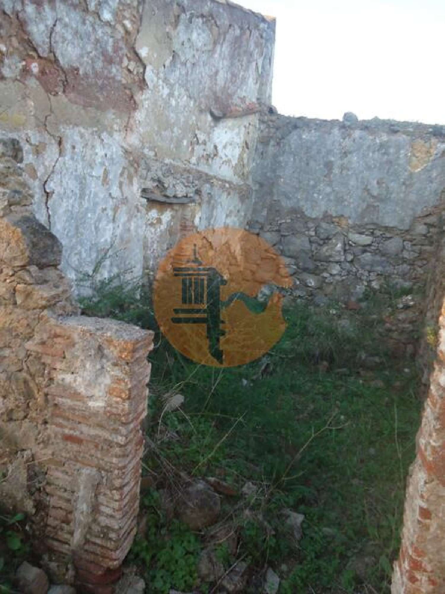  à venda terreno Fonte Albufeira 8