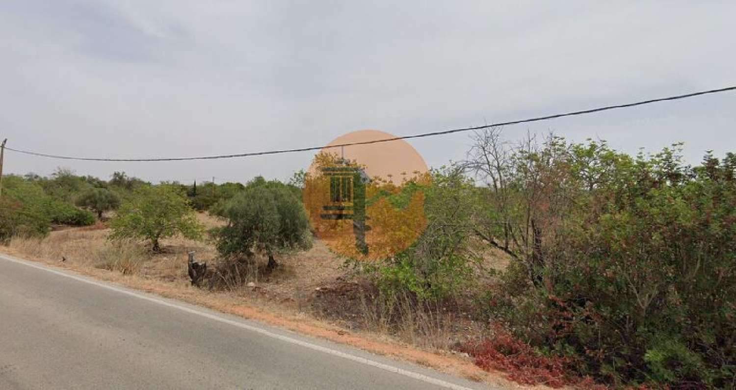  à venda terreno Fonte Albufeira 4