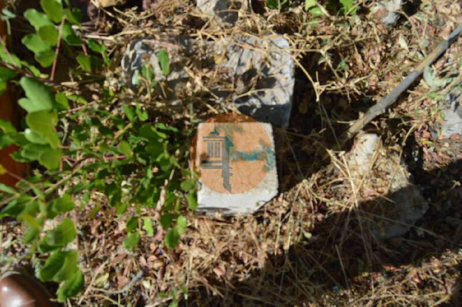  à venda terreno Fonte Albufeira 5