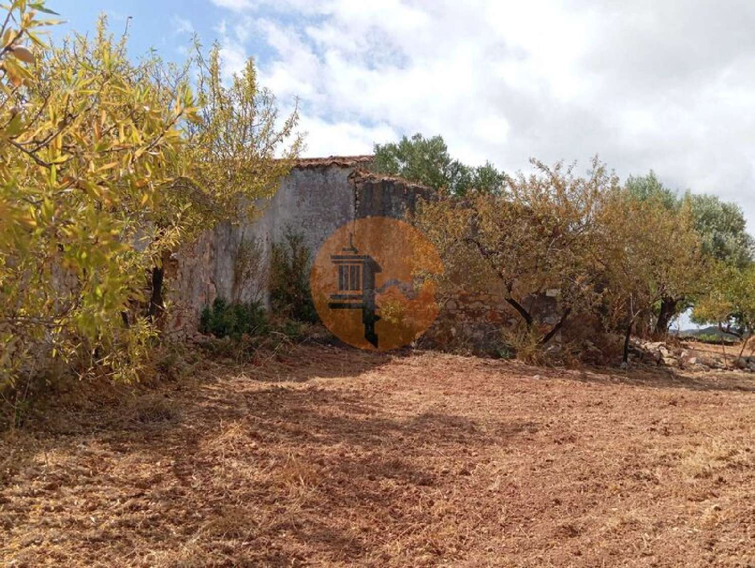  en venta terreno Fonte Albufeira 5