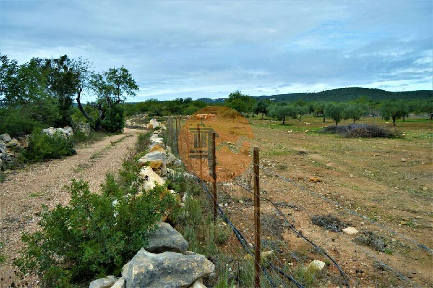  for sale terrain Fonte Albufeira 4