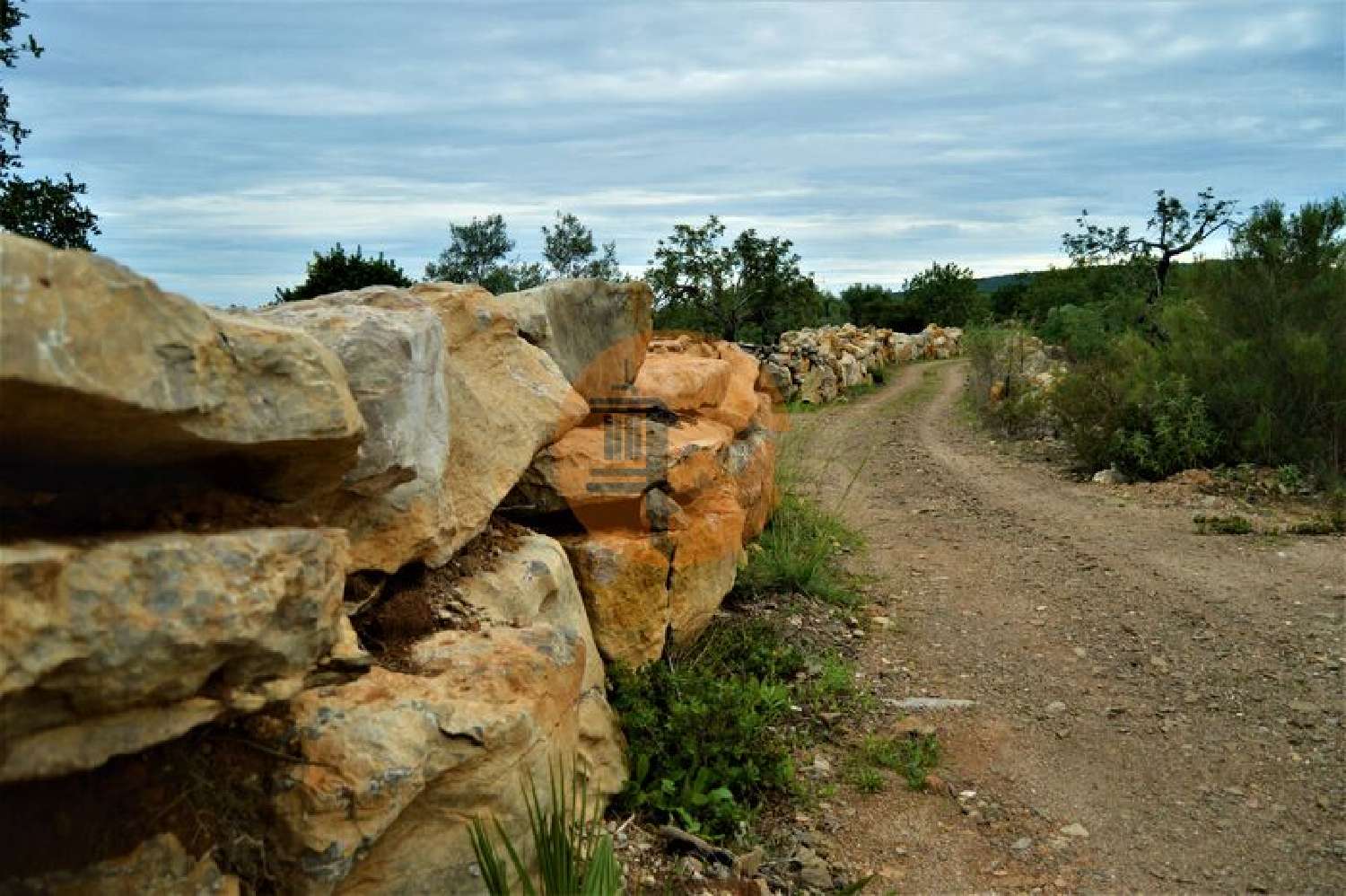  for sale terrain Fonte Albufeira 5