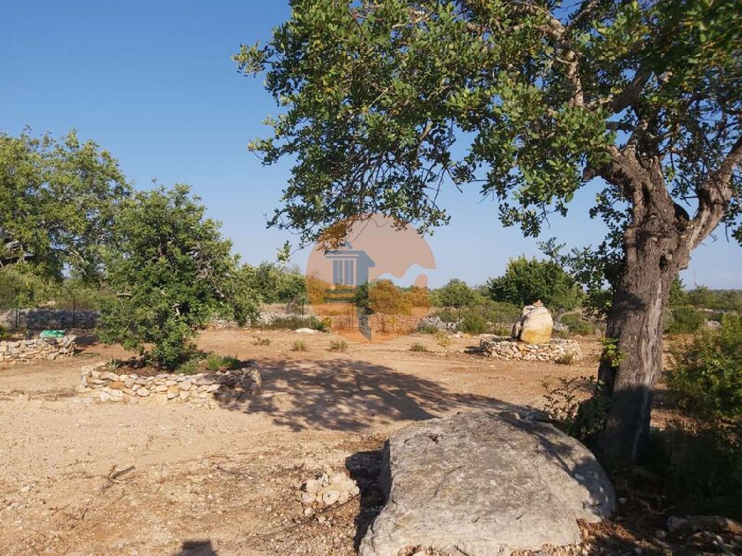  for sale terrain Fonte Albufeira 6