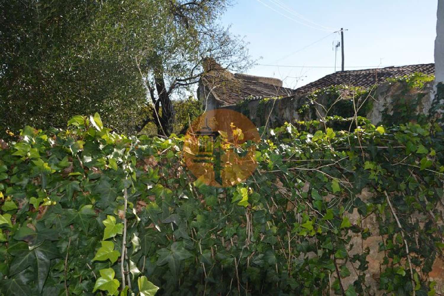  à venda terreno Fuseta Olhão 5