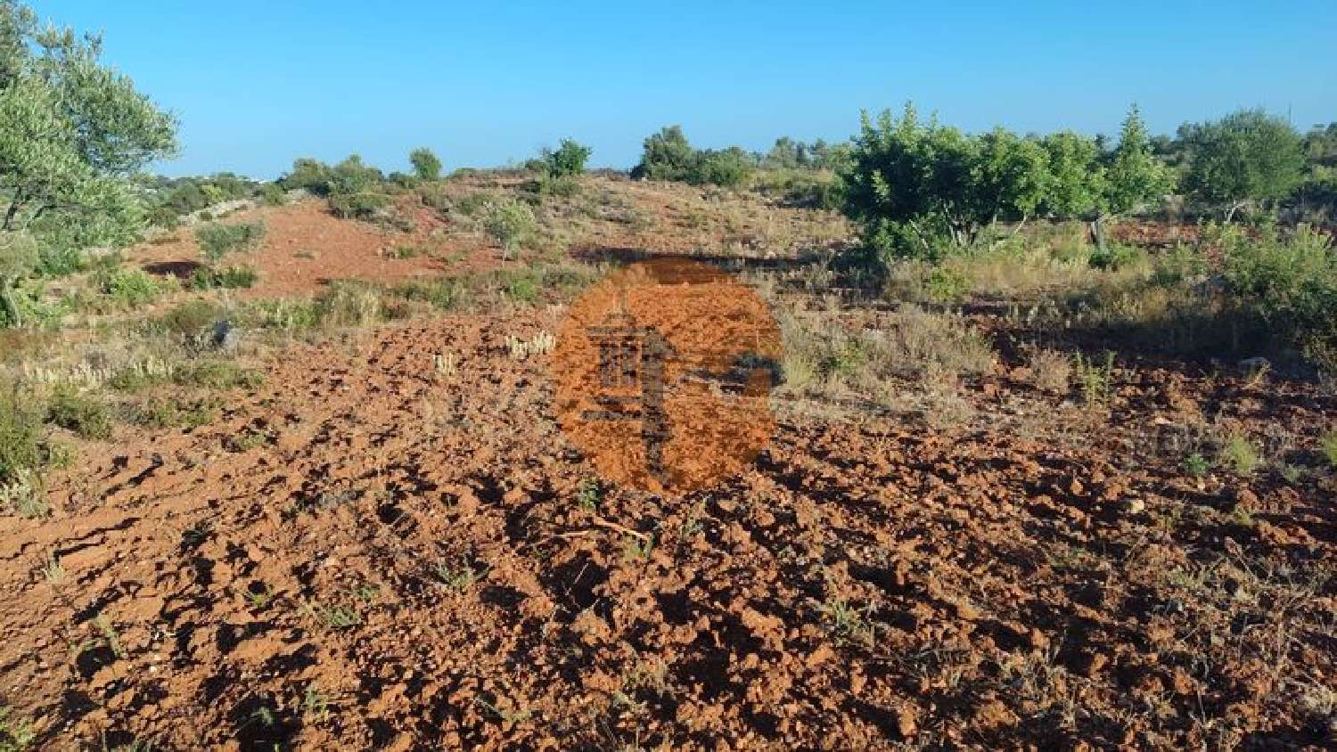  à venda terreno Fuseta Olhão 3