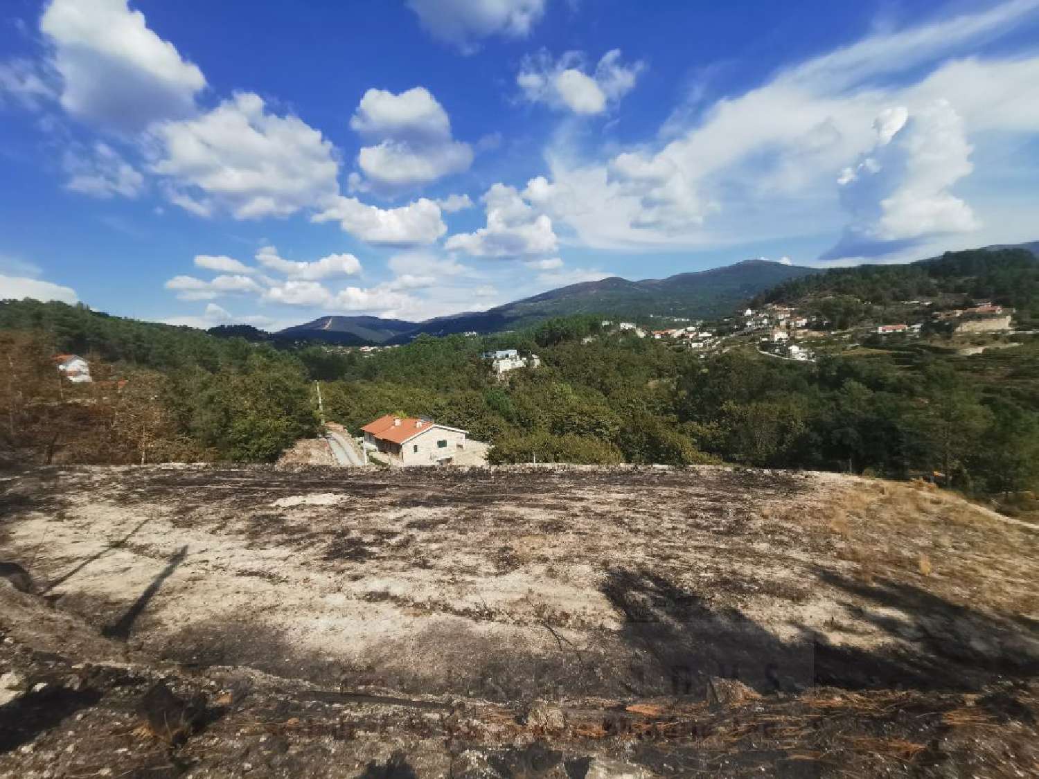  for sale terrain Gondar Amarante 1