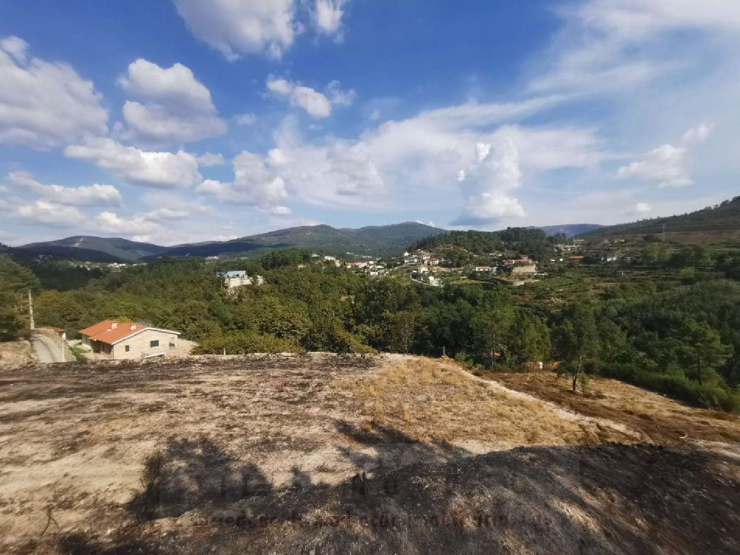  for sale terrain Gondar Amarante 2