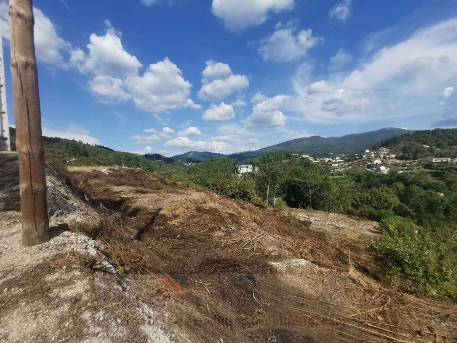  for sale terrain Gondar Amarante 3