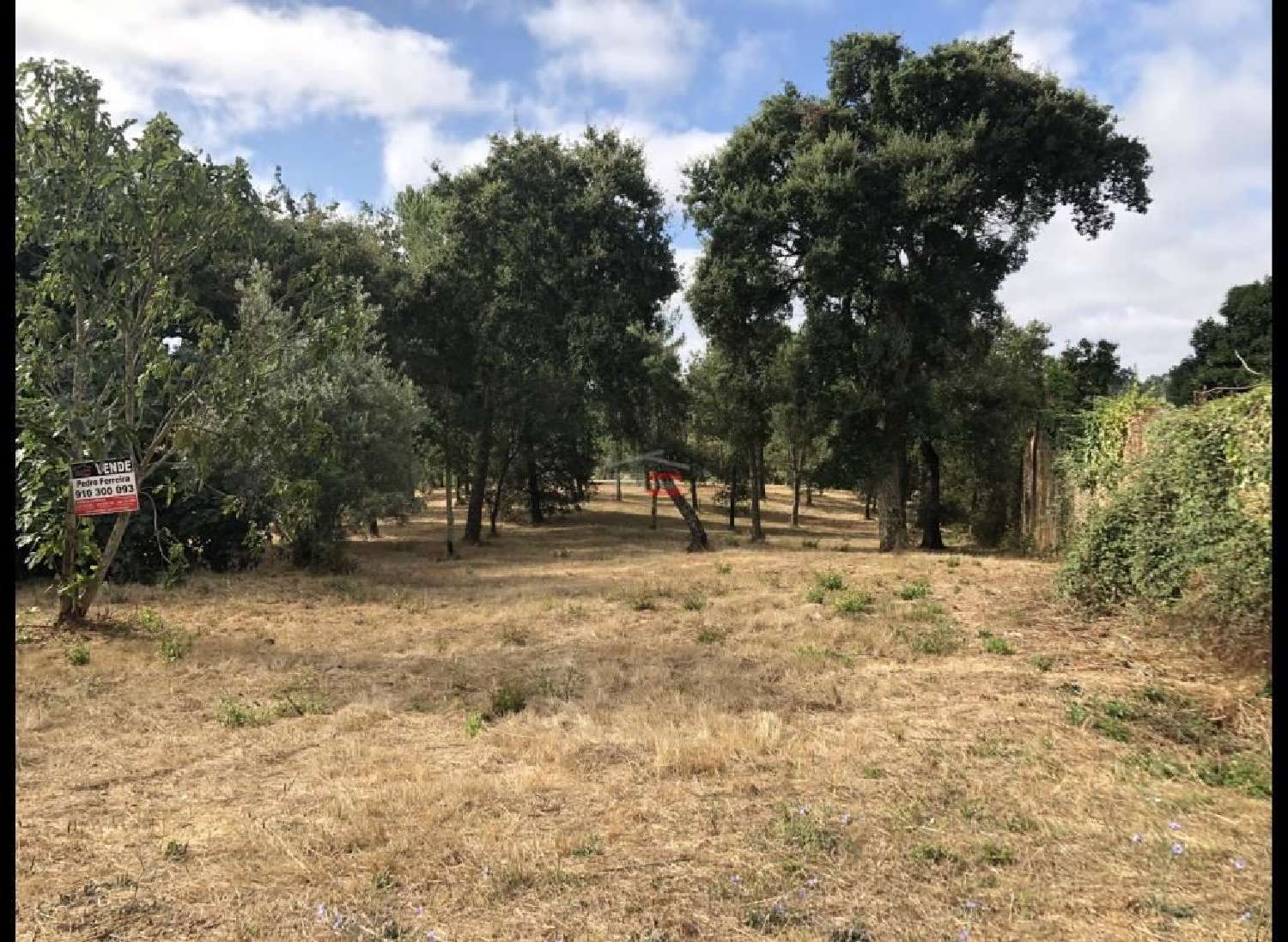  en venta terreno Gondemaria Ourém 1