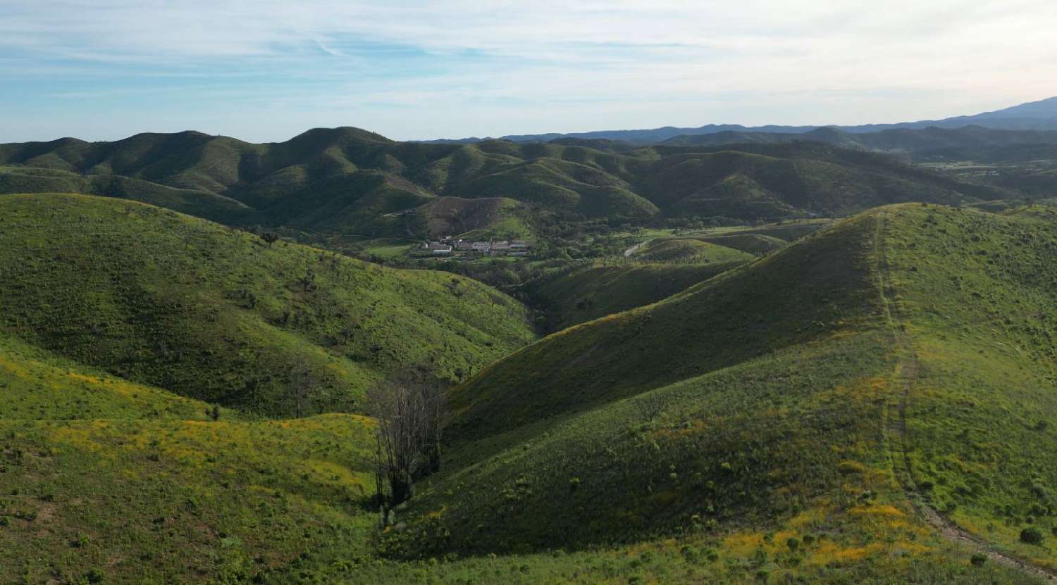  à venda terreno Armação de Pêra Silves 1