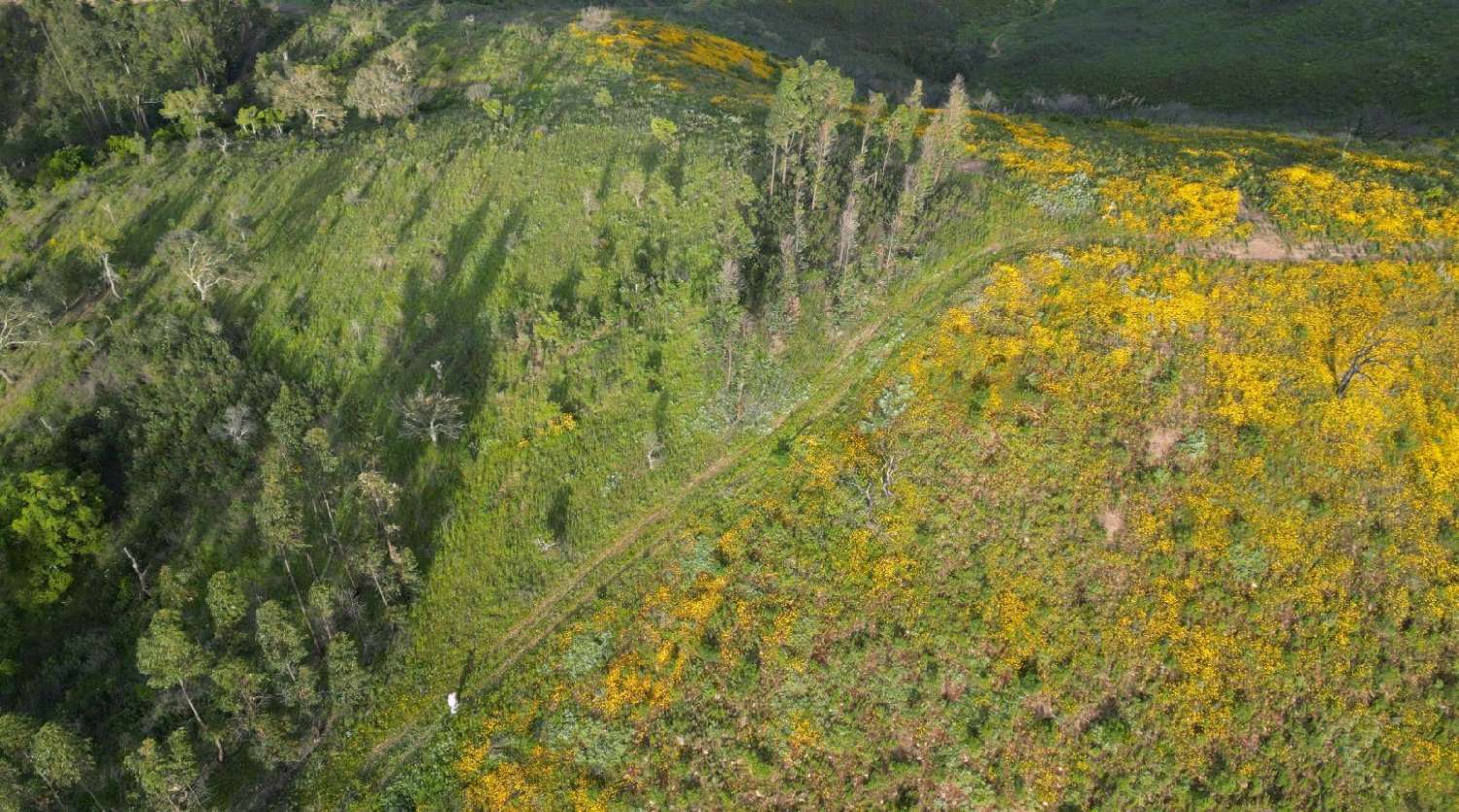  à venda terreno Armação de Pêra Silves 3