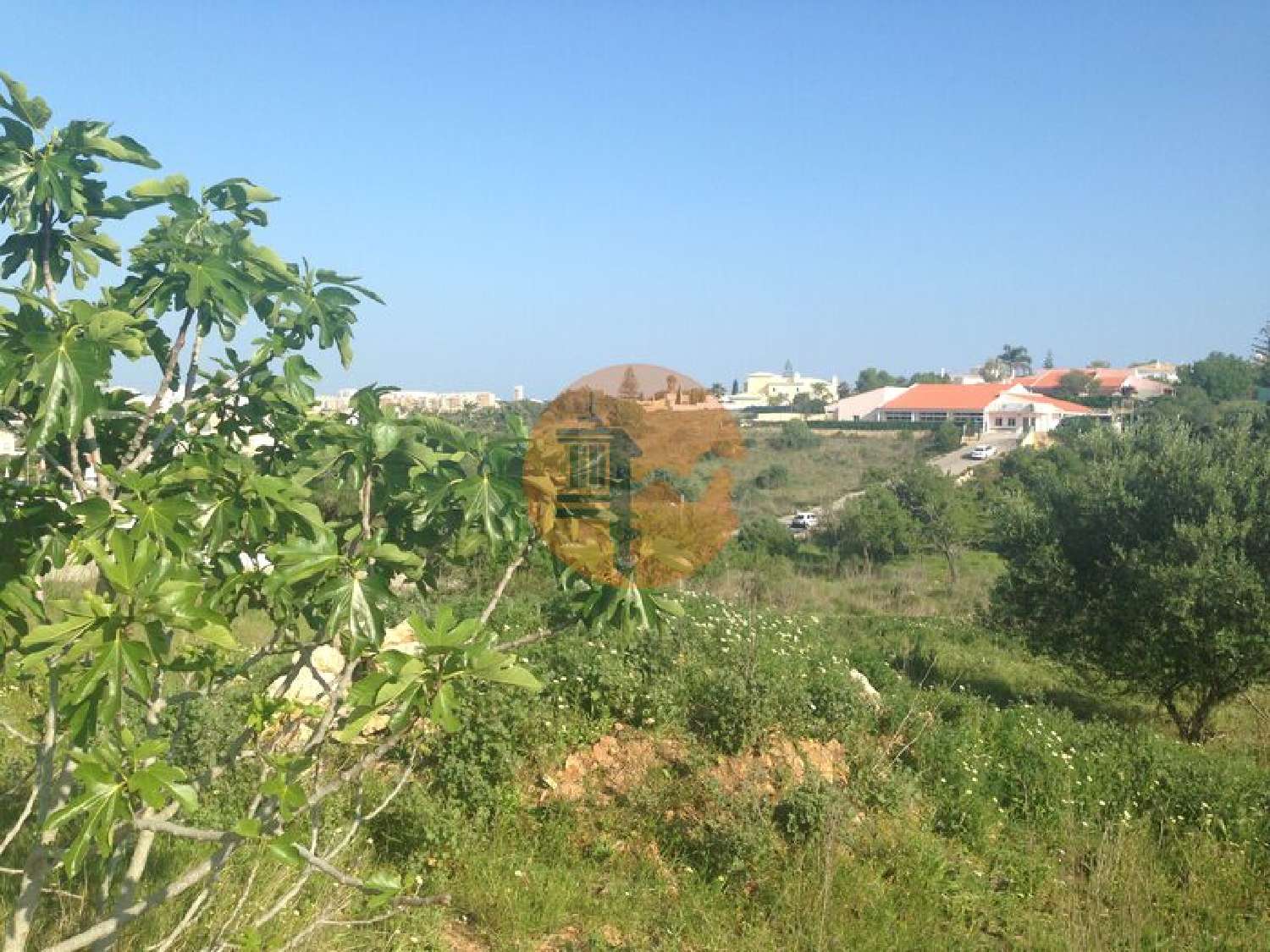  à venda terreno Lagos Lagos 2