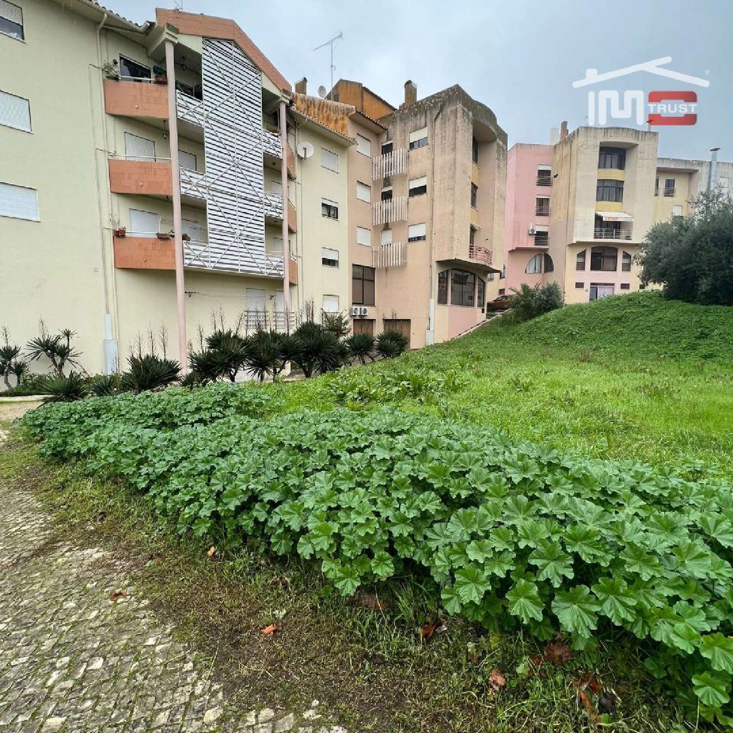  for sale terrain Lapas Torres Novas 1