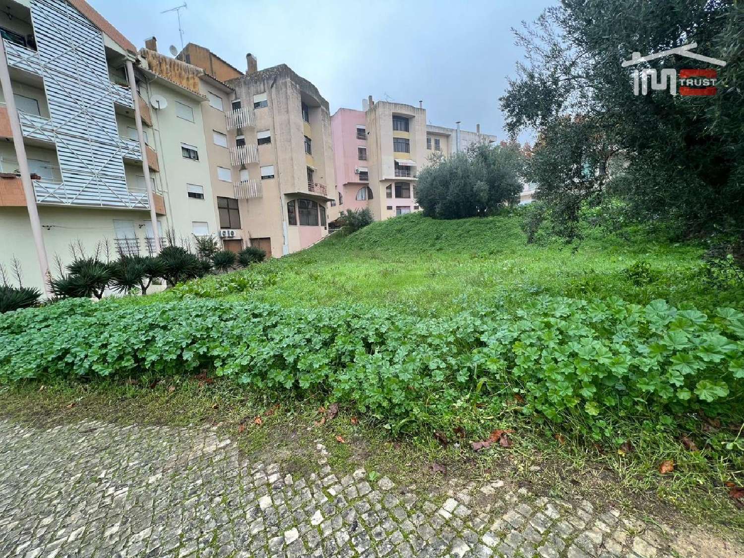 for sale terrain Lapas Torres Novas 3