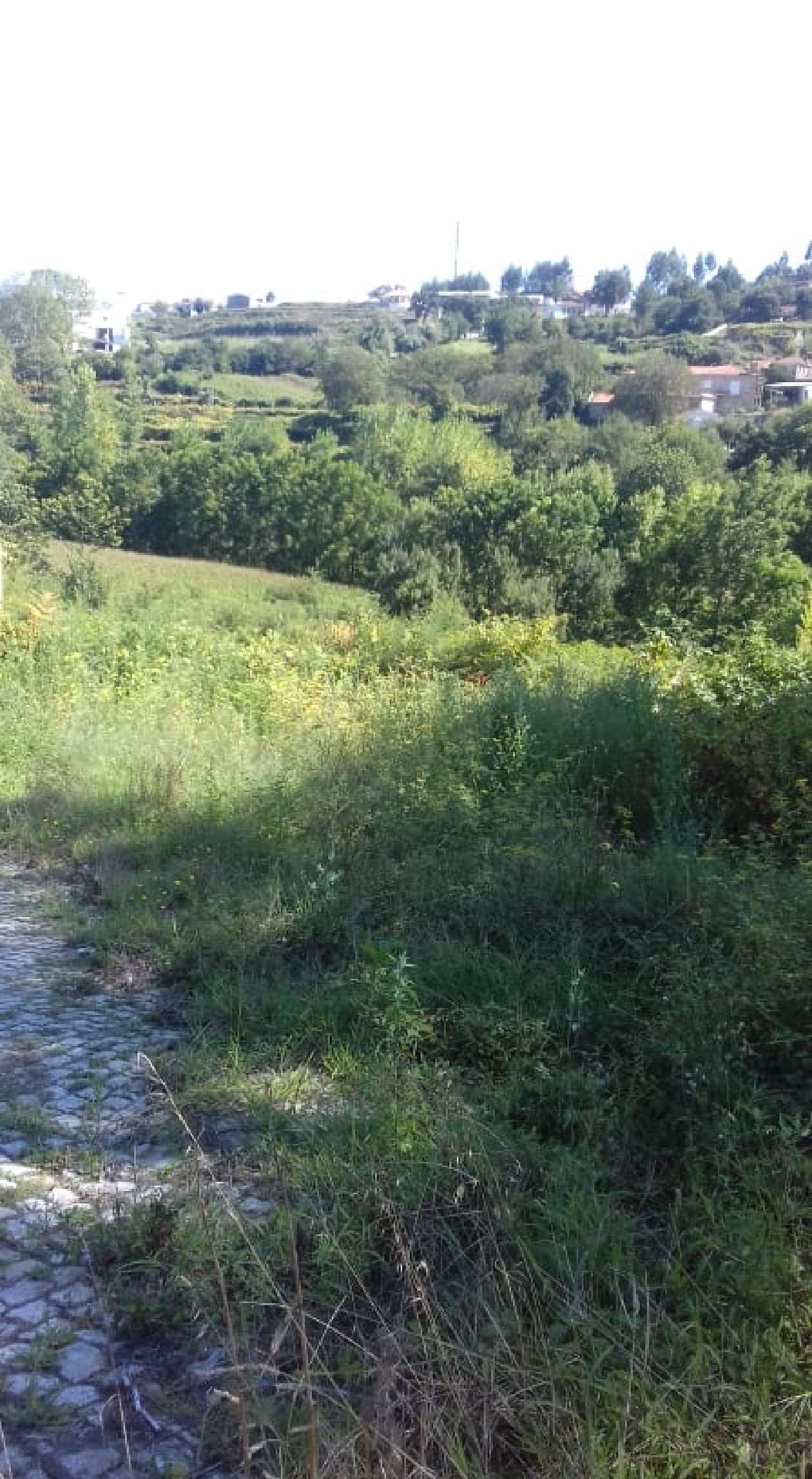  à venda terreno Lordelo Felgueiras 3