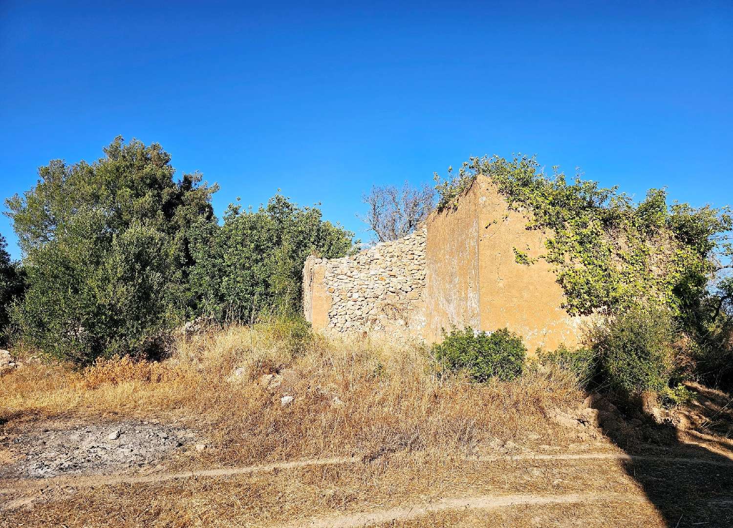  en venta terreno Loulé Loulé 6