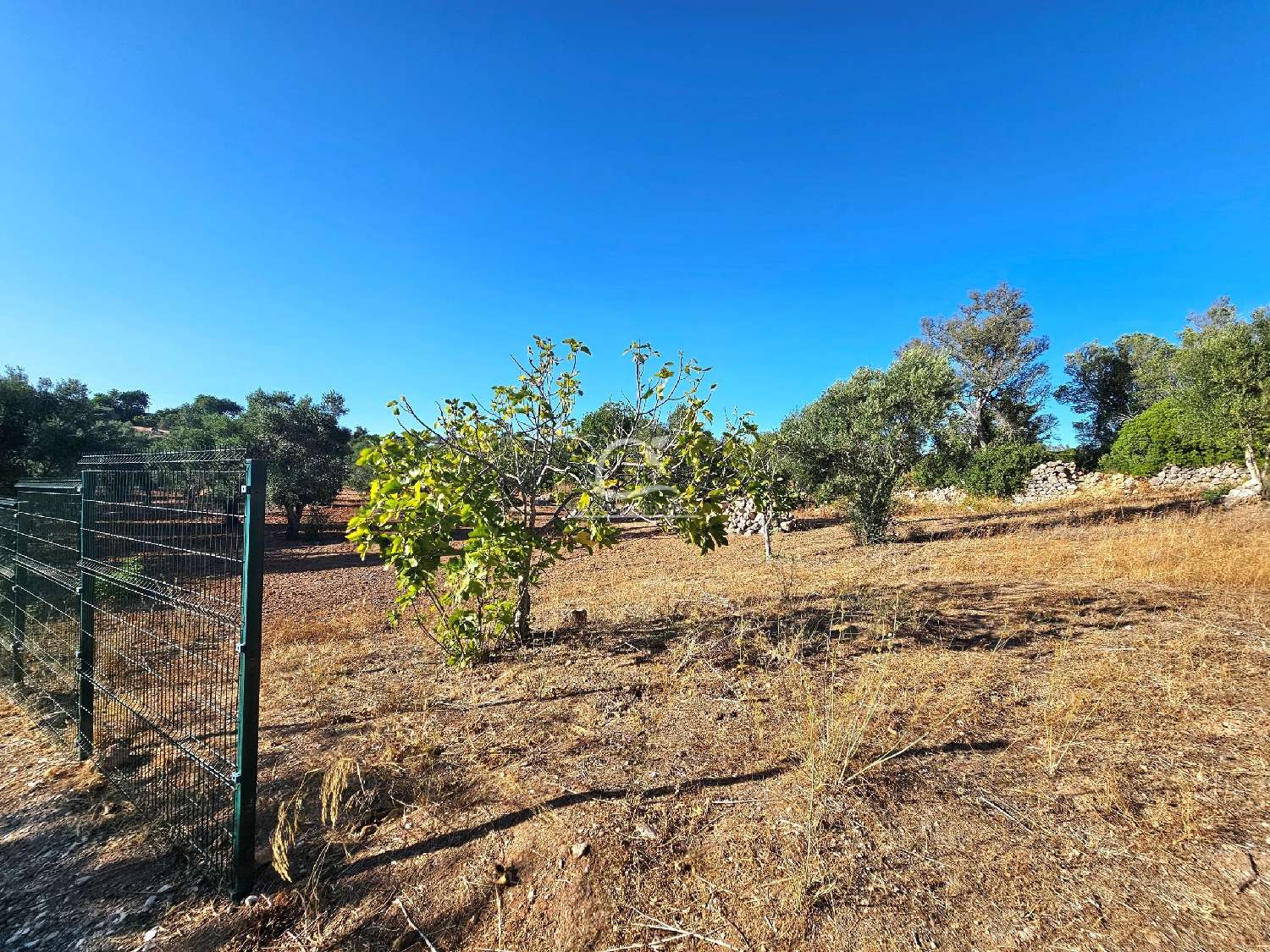  en venta terreno Loulé Loulé 7