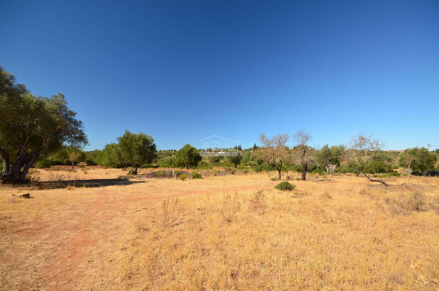  à venda terreno Loulé Loulé 3