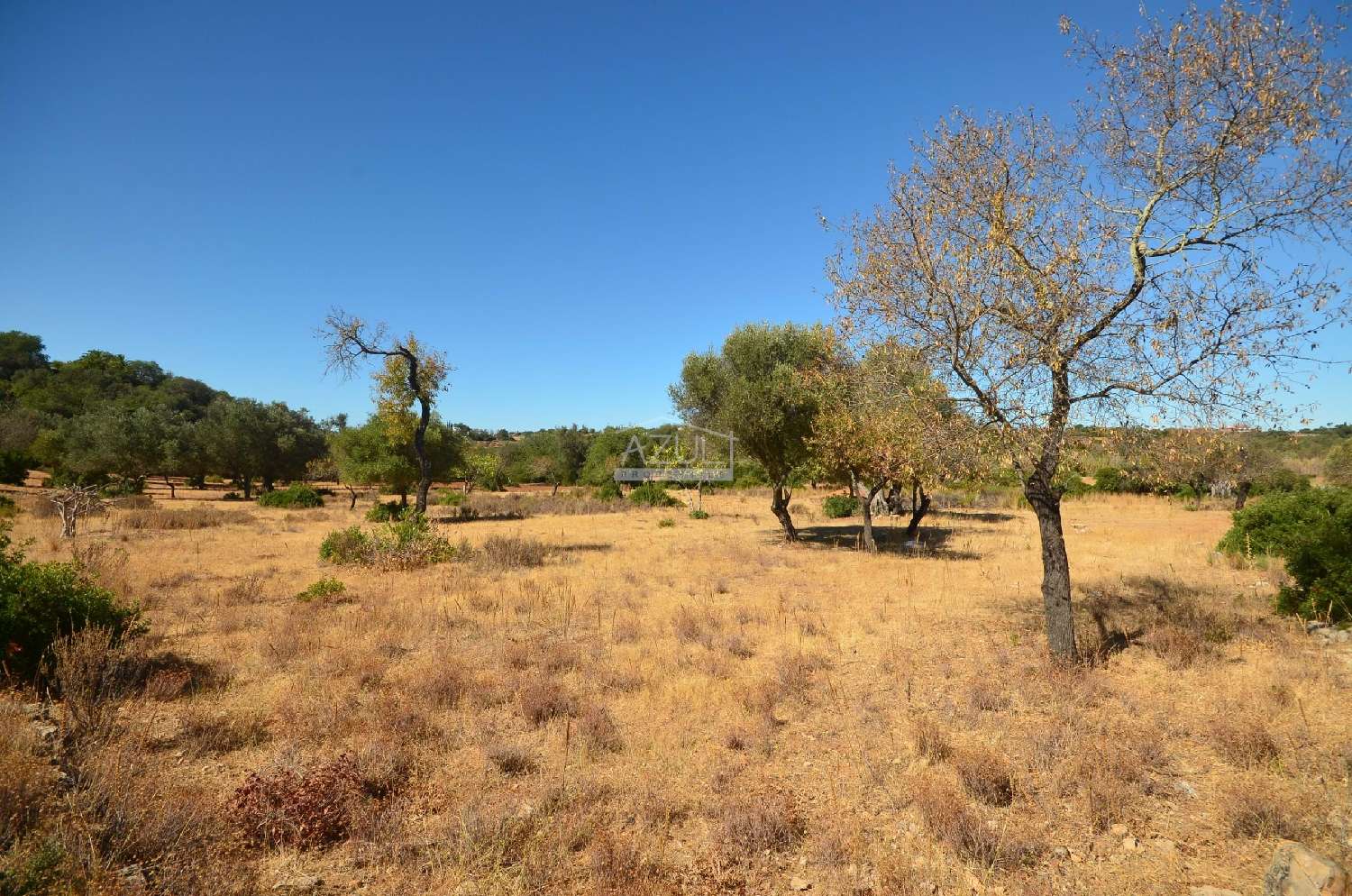  à venda terreno Loulé Loulé 7