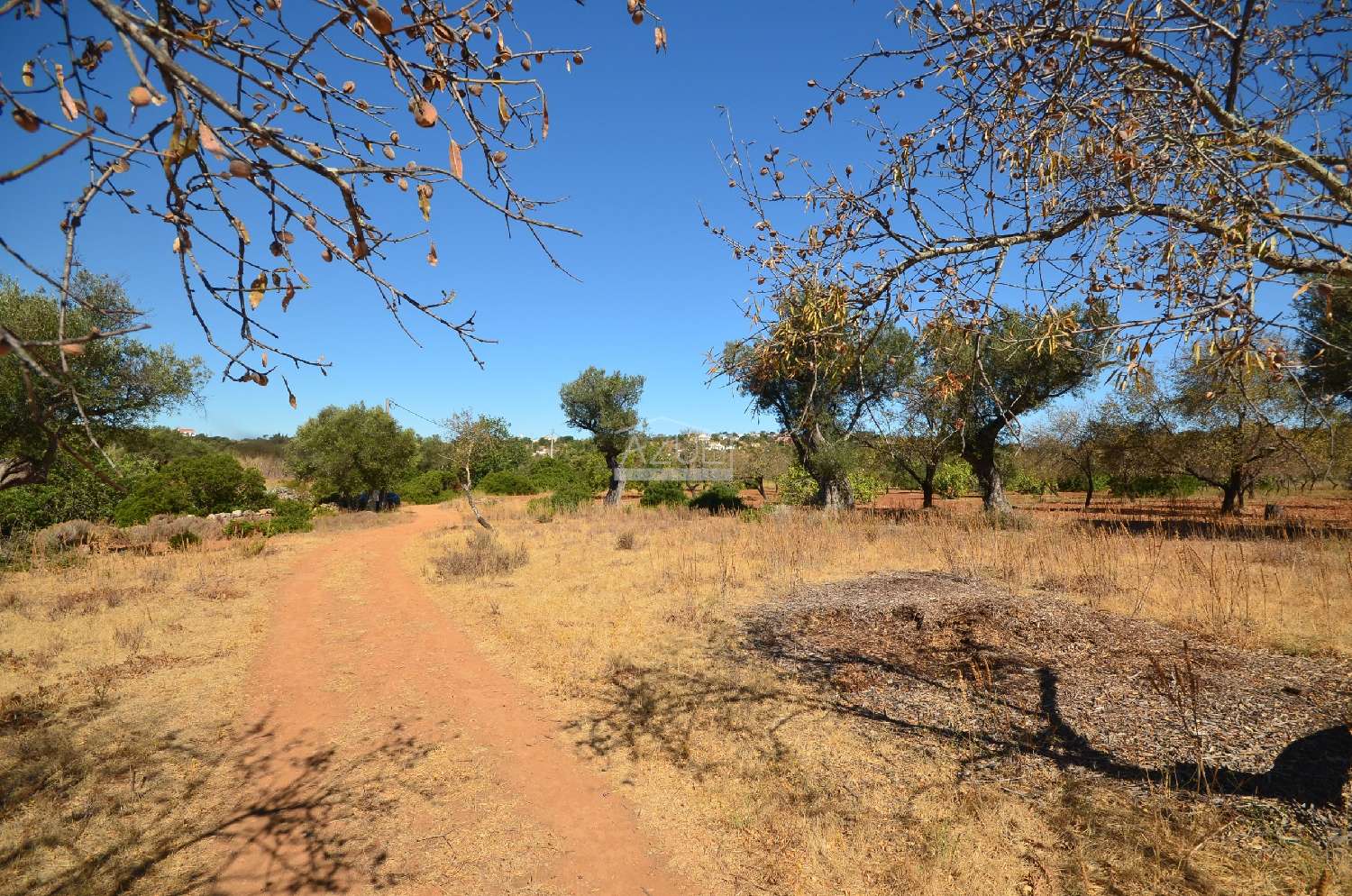  à venda terreno Loulé Loulé 8