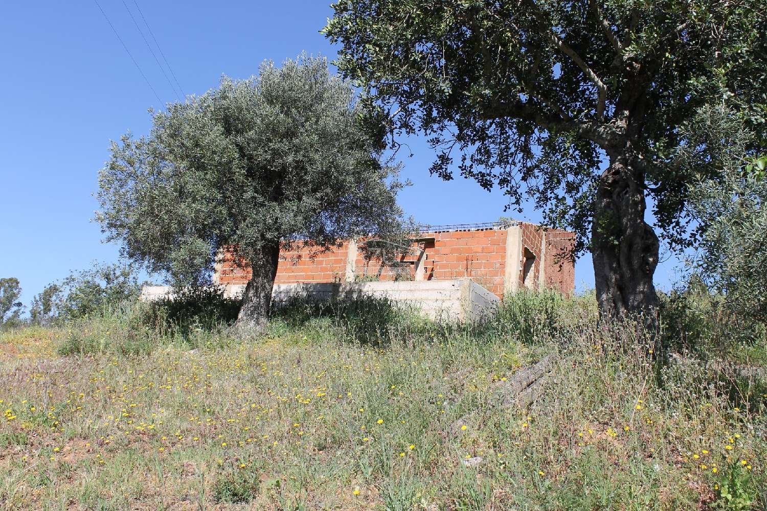  en venta terreno Loulé Loulé 1
