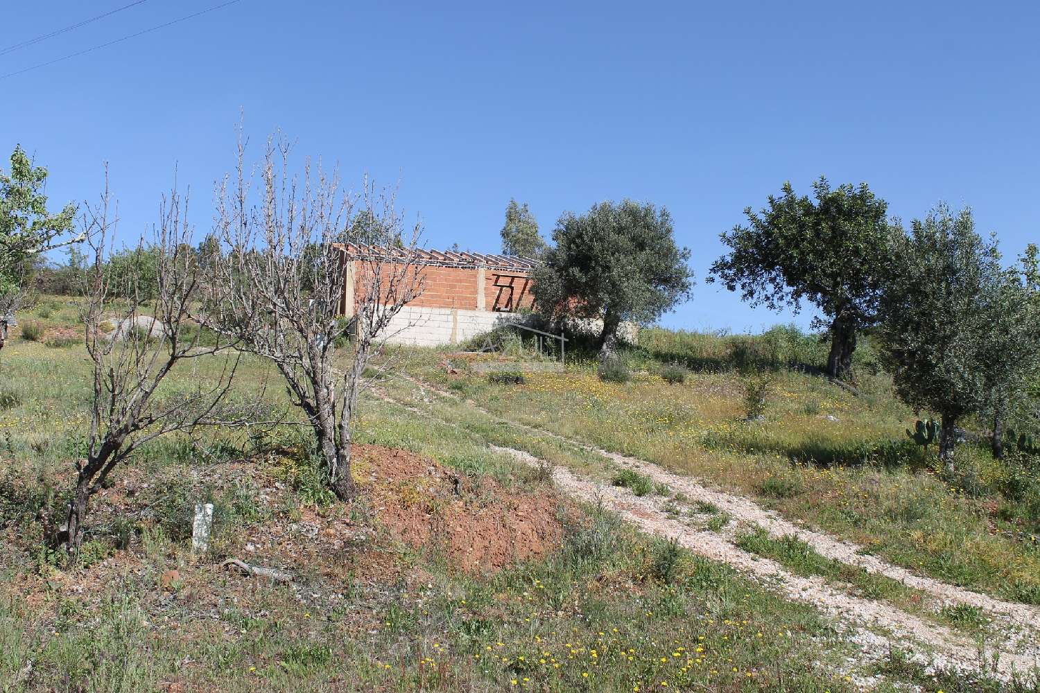 en venta terreno Loulé Loulé 2