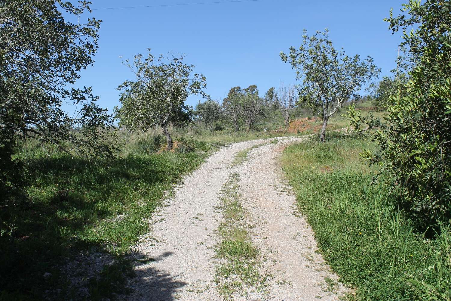  en venta terreno Loulé Loulé 6