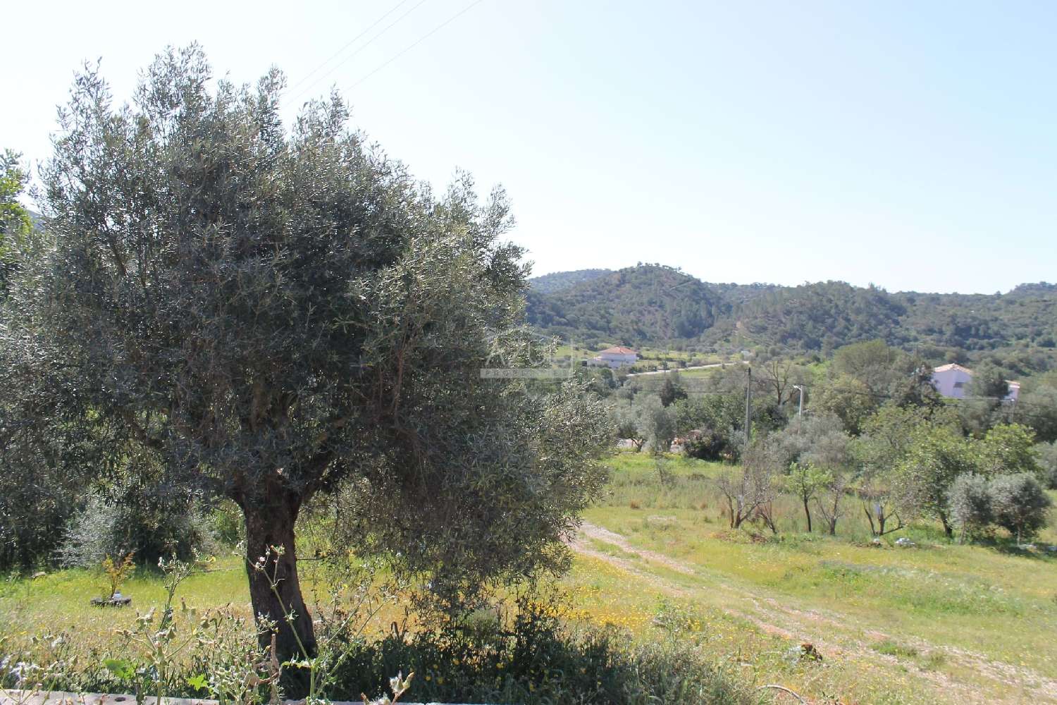  en venta terreno Loulé Loulé 8