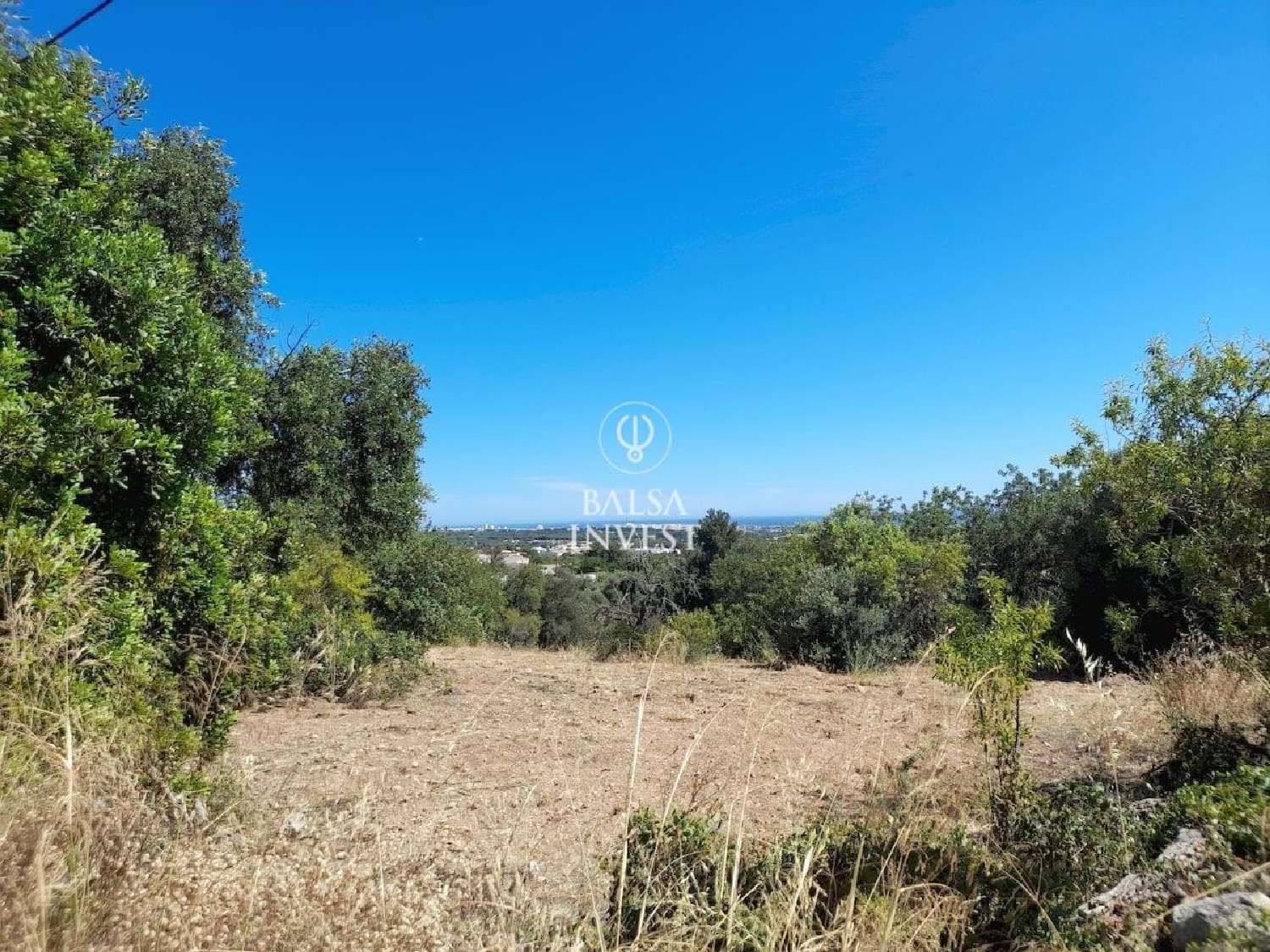  à venda terreno Loulé Loulé 1