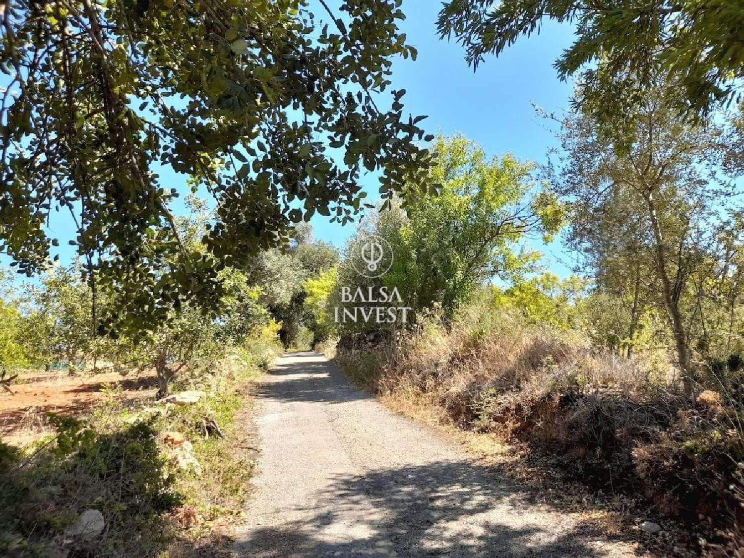  à venda terreno Loulé Loulé 2
