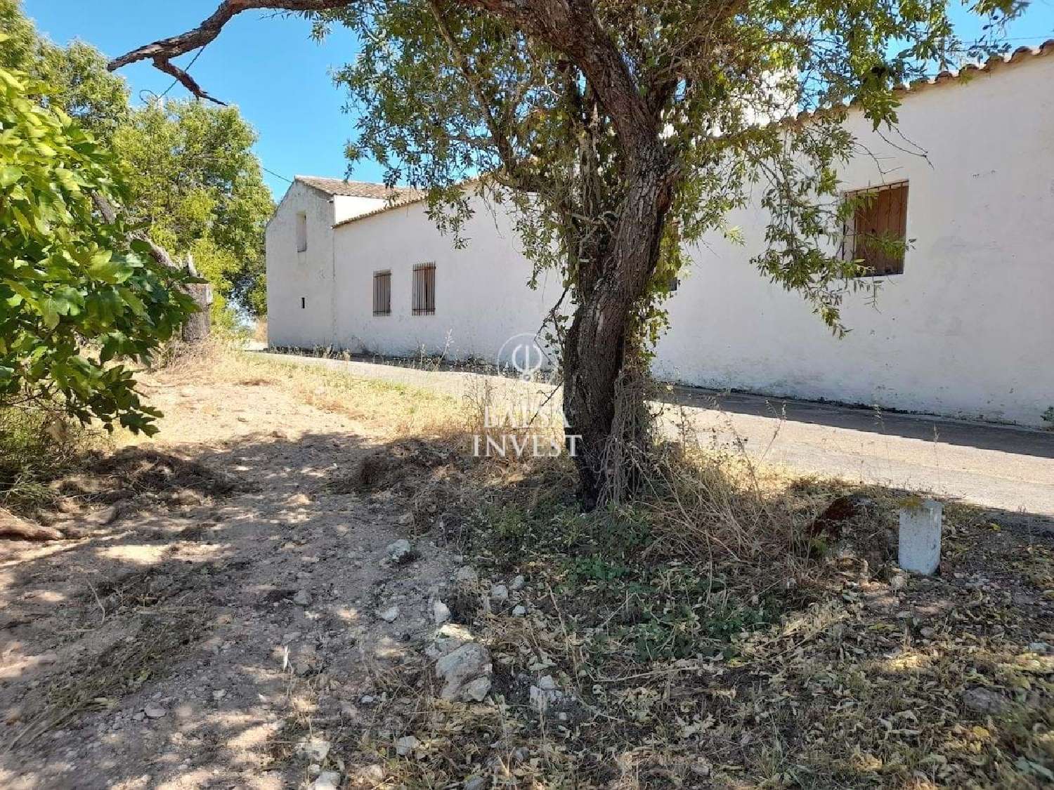  à venda terreno Loulé Loulé 3