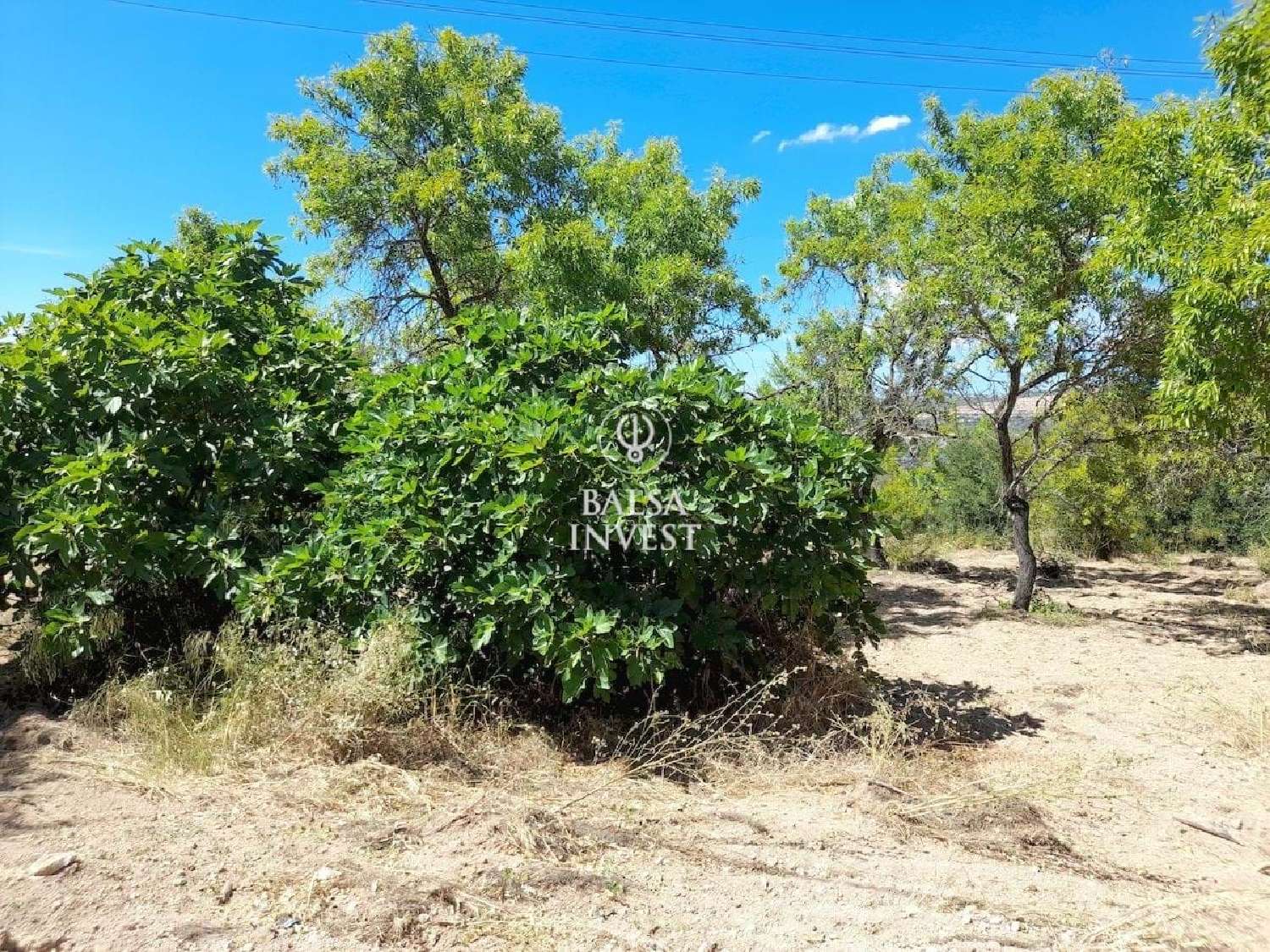  à venda terreno Loulé Loulé 5