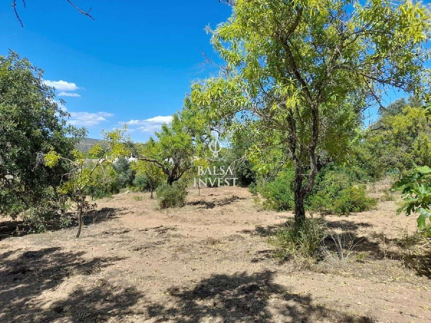  à venda terreno Loulé Loulé 6