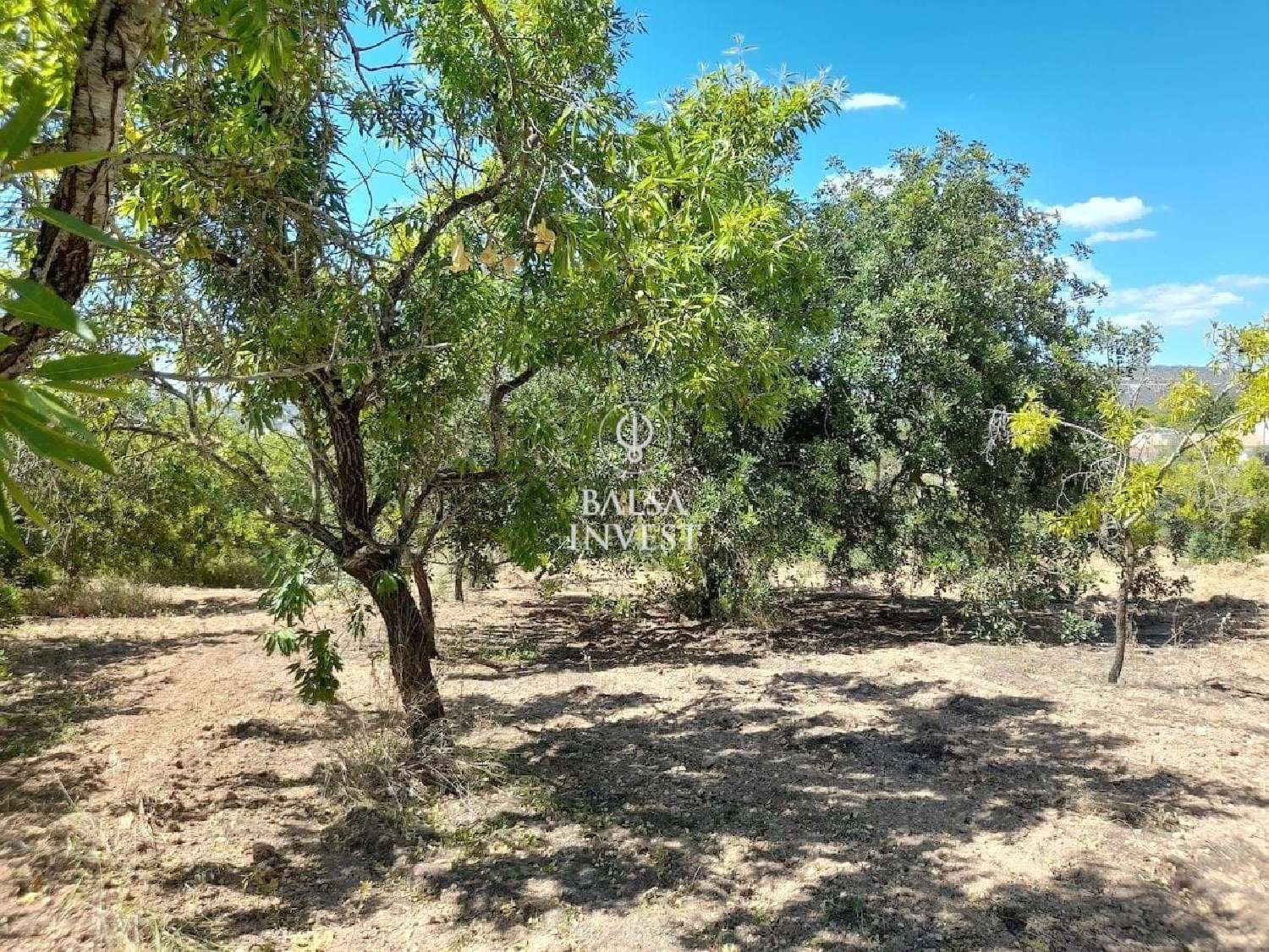  à venda terreno Loulé Loulé 7