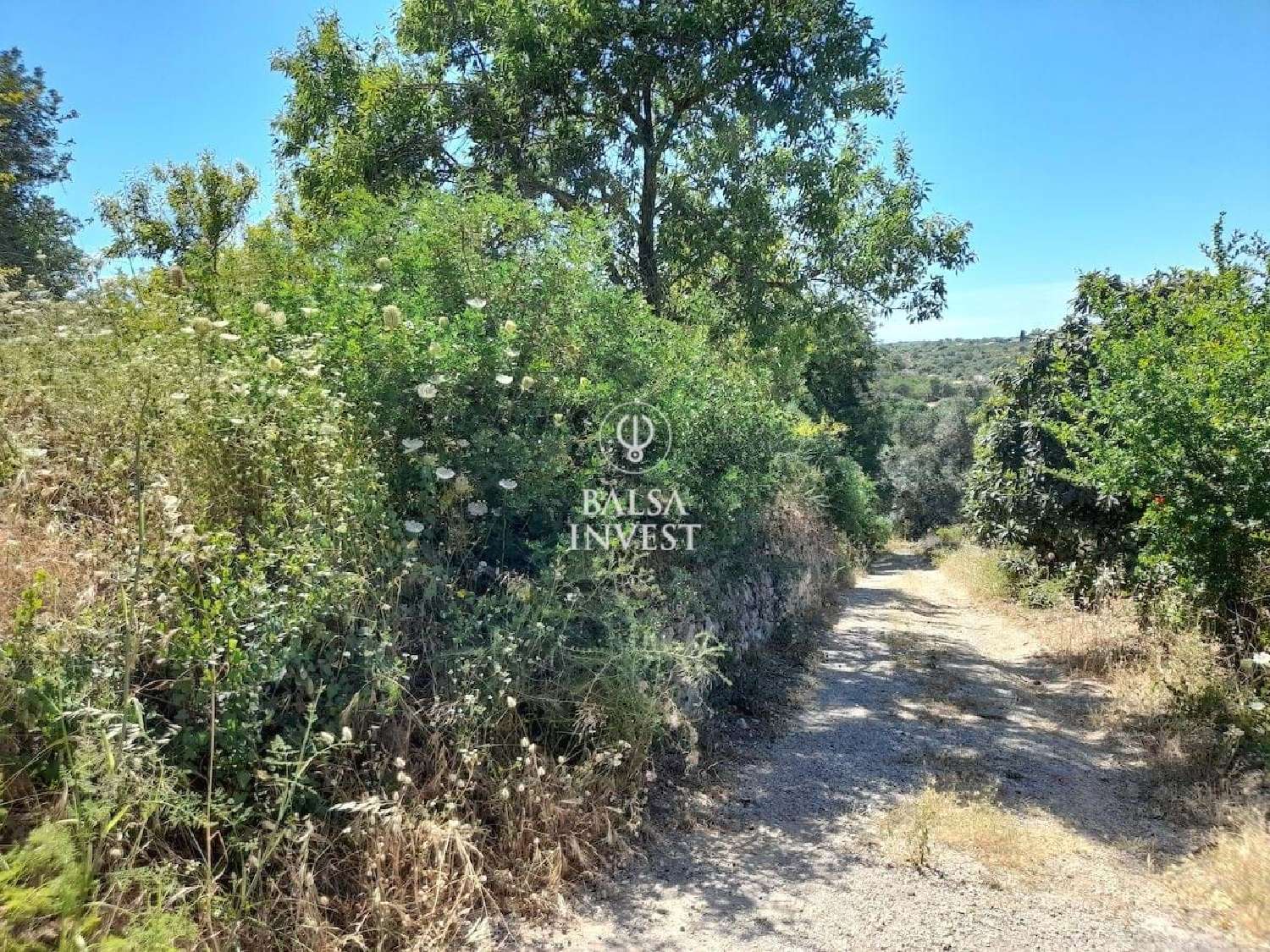  à venda terreno Loulé Loulé 8