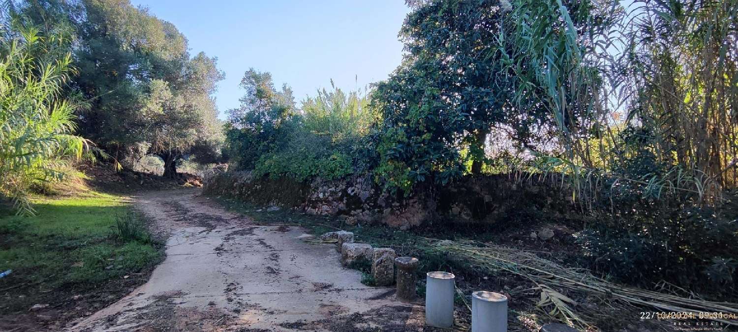  à venda terreno Loulé Loulé 1