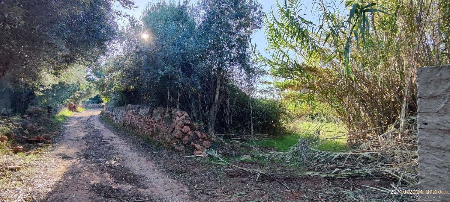  à venda terreno Loulé Loulé 2