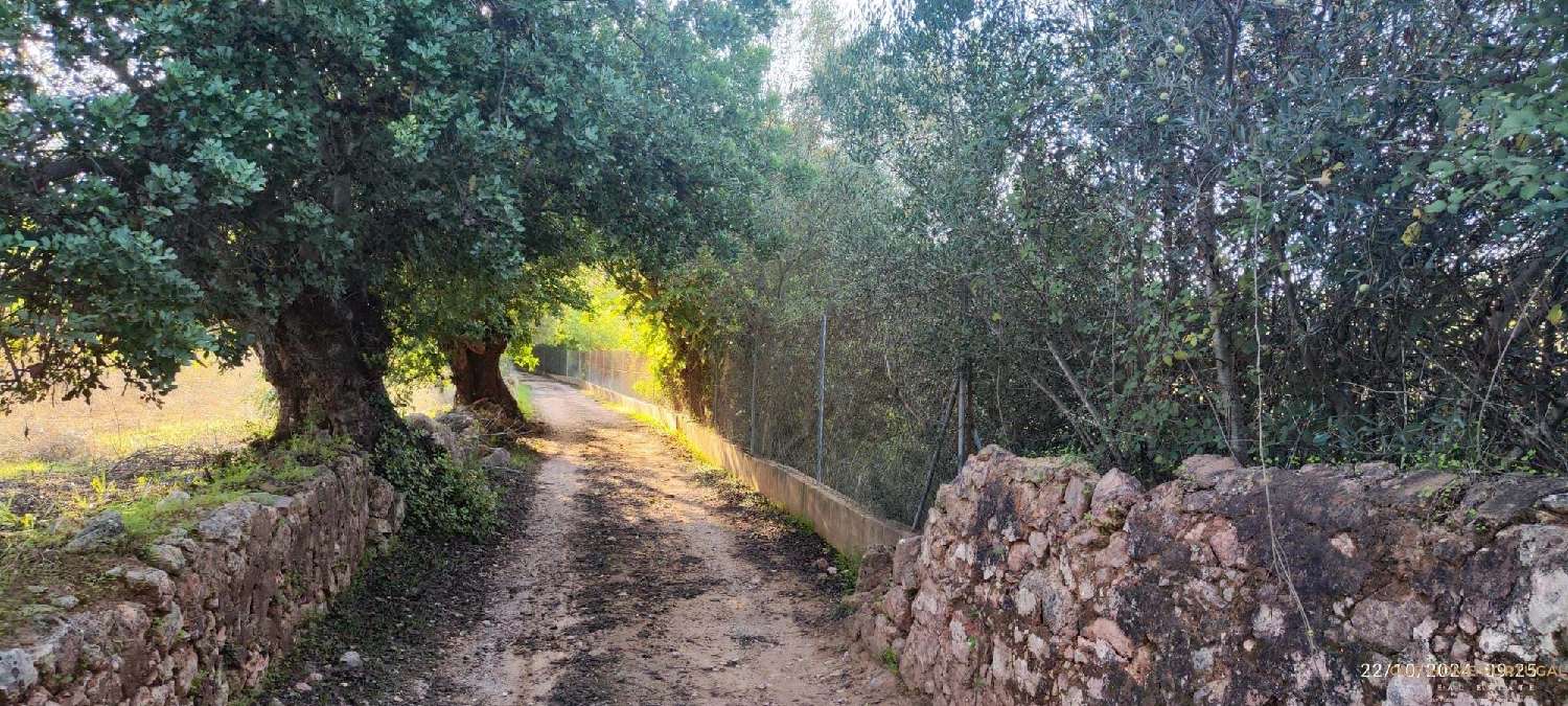  à venda terreno Loulé Loulé 3