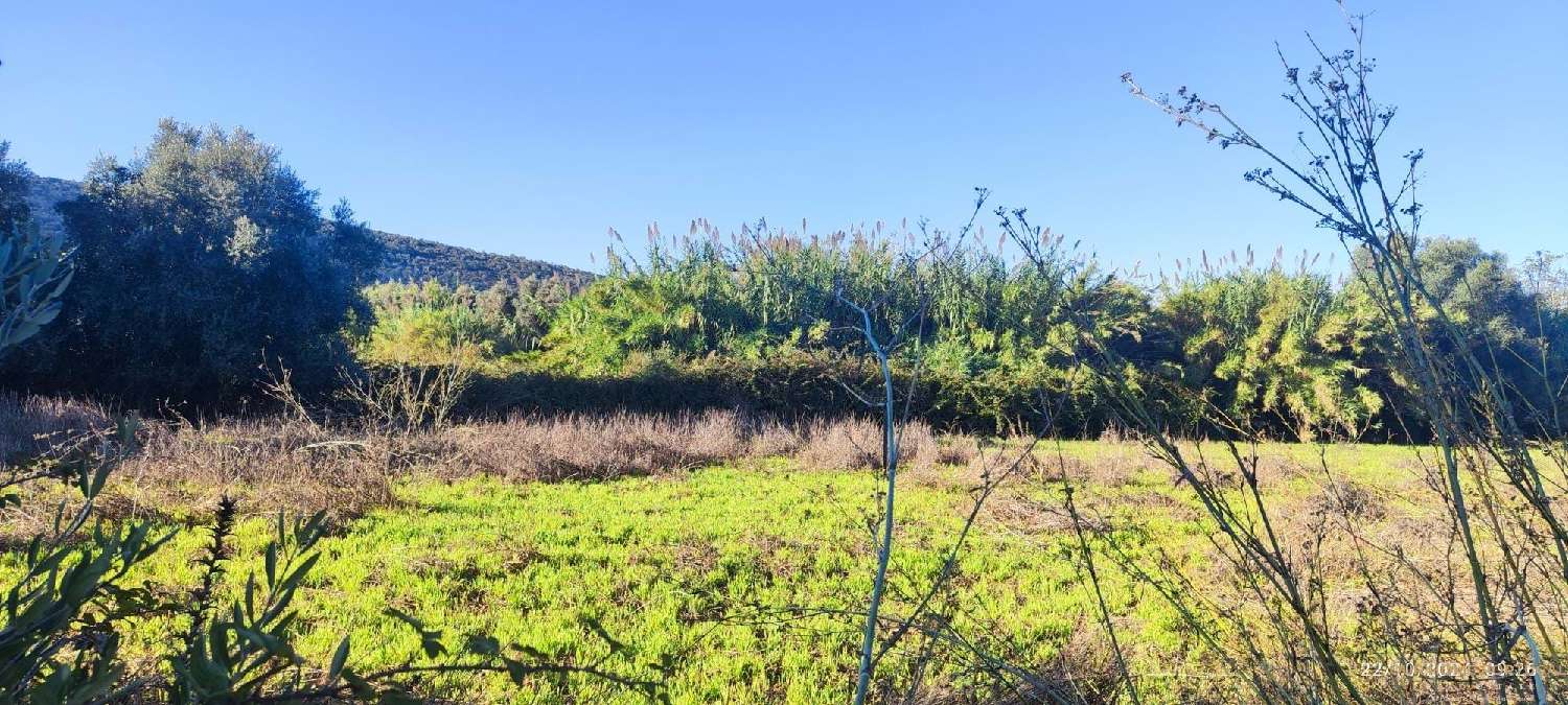  à venda terreno Loulé Loulé 4