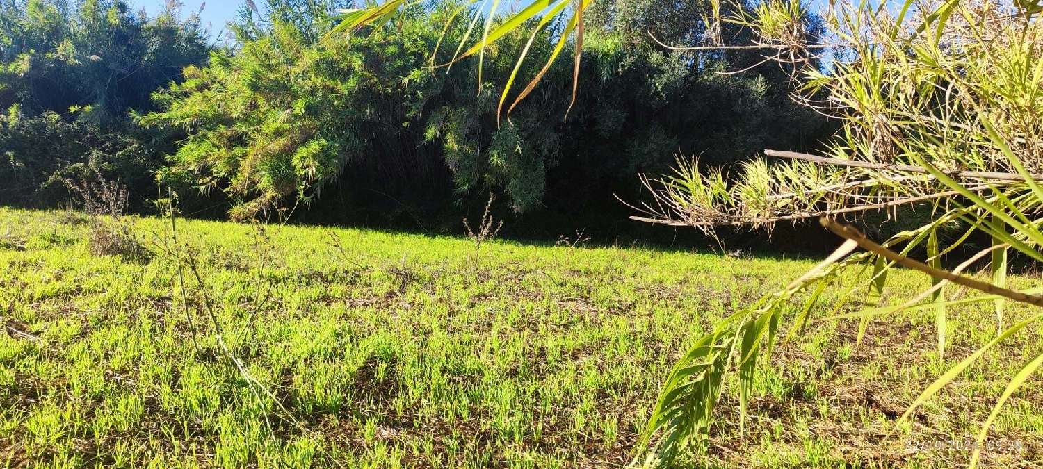  à venda terreno Loulé Loulé 5