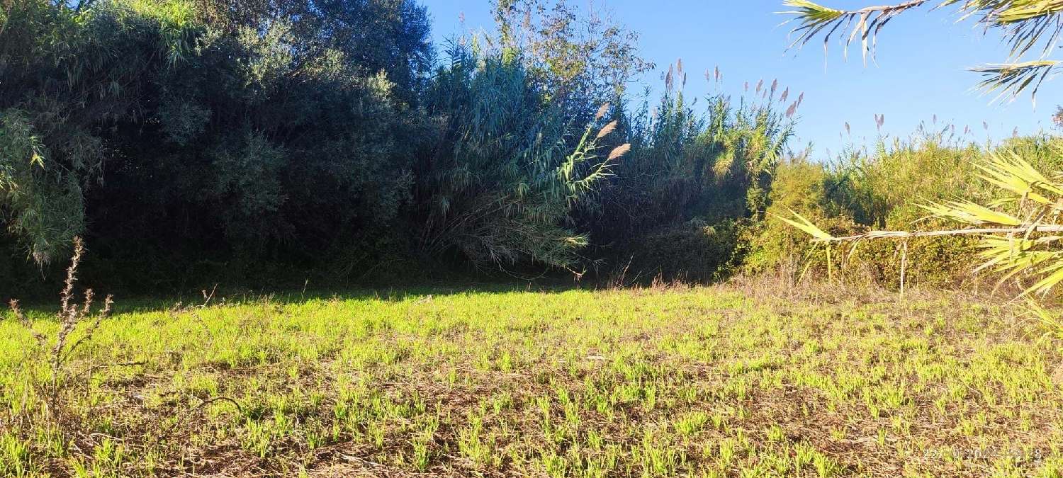  à venda terreno Loulé Loulé 6