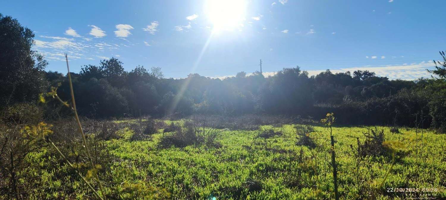  à venda terreno Loulé Loulé 7
